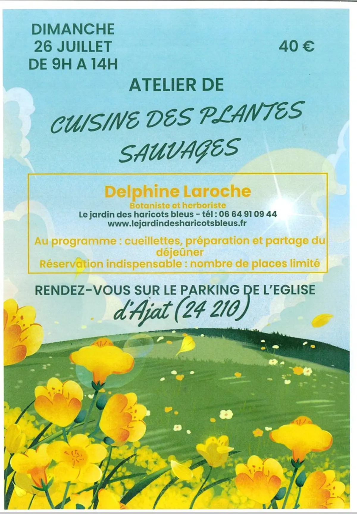 Atelier de cuisine des plantes sauvages