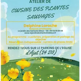 Atelier de cuisine des plantes sauvages