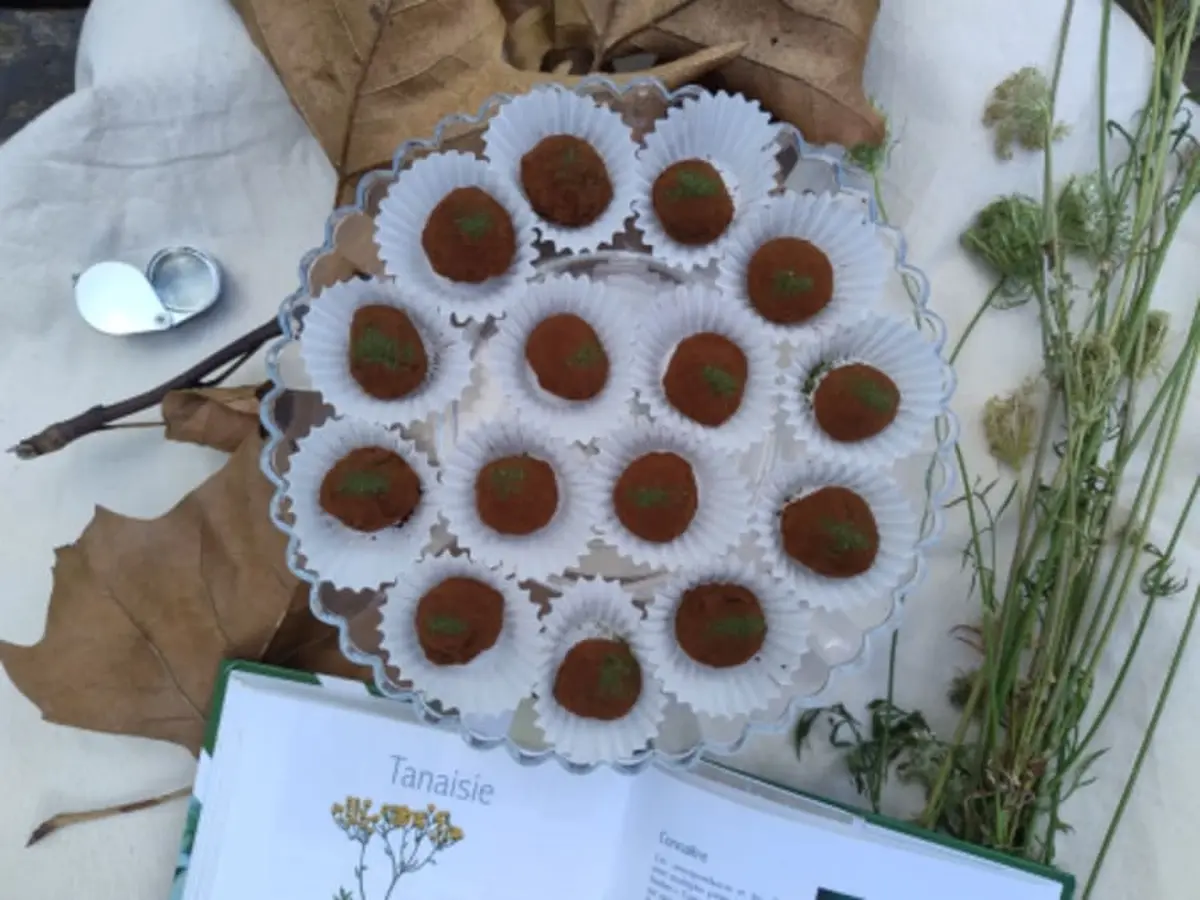 Atelier de cuisine gourmande de plantes sauvages à Nantes (44)