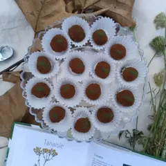 Atelier de cuisine gourmande de plantes sauvages à Nantes (44)
