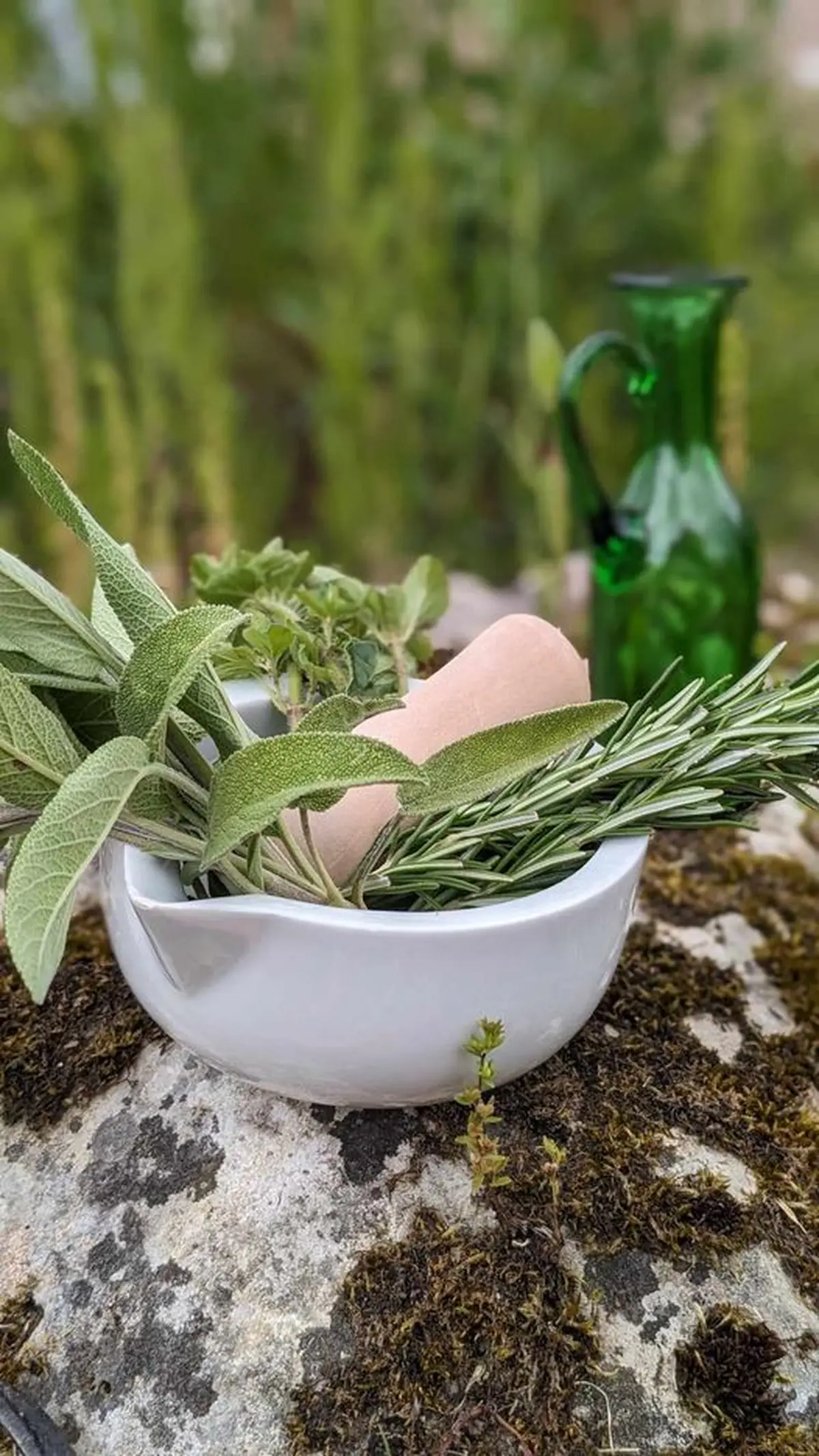 Atelier De Cuisine Le Sel D'Apicius