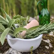 Atelier De Cuisine Le Sel D'Apicius