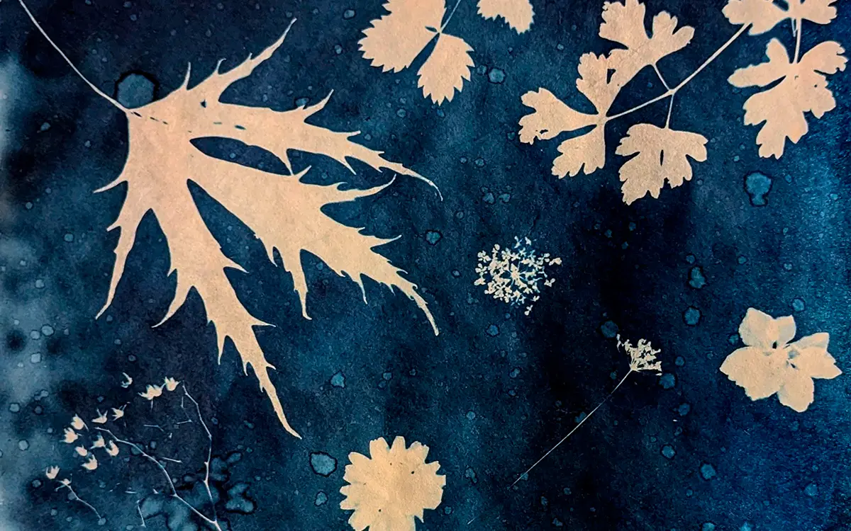 Atelier cyanotype, paris 20