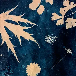 Atelier de cyanotype