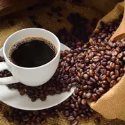 Atelier de Dégustation de Café
