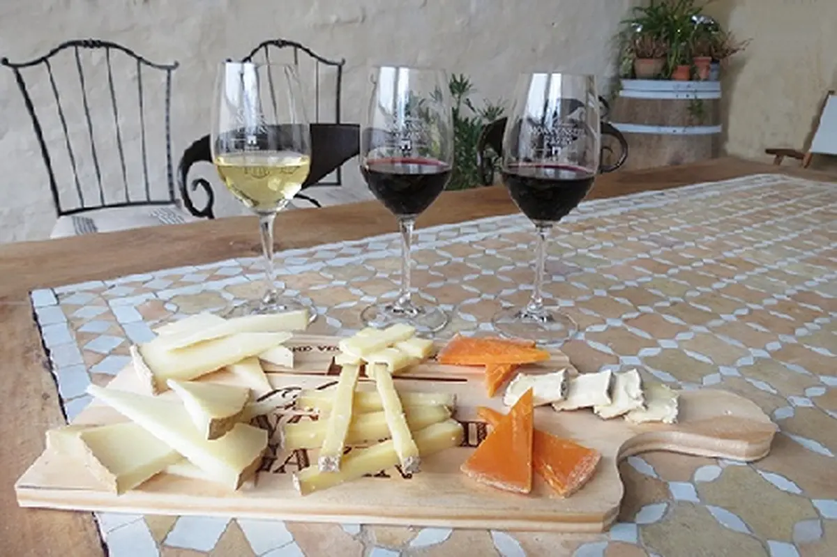 Atelier De Dégustation Vins/fromages