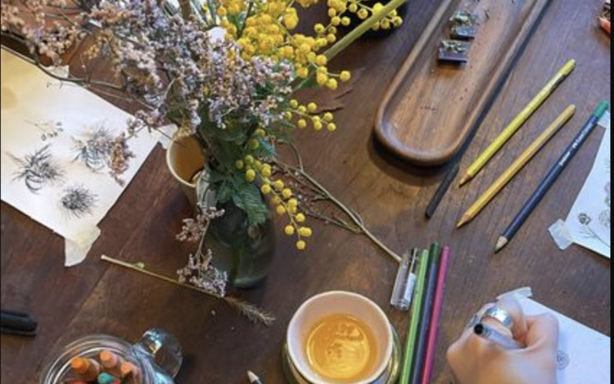 Atelier de dessin botanique pour adultes