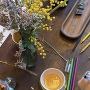 Atelier de dessin botanique pour enfants