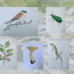 Atelier De Dessin Naturaliste