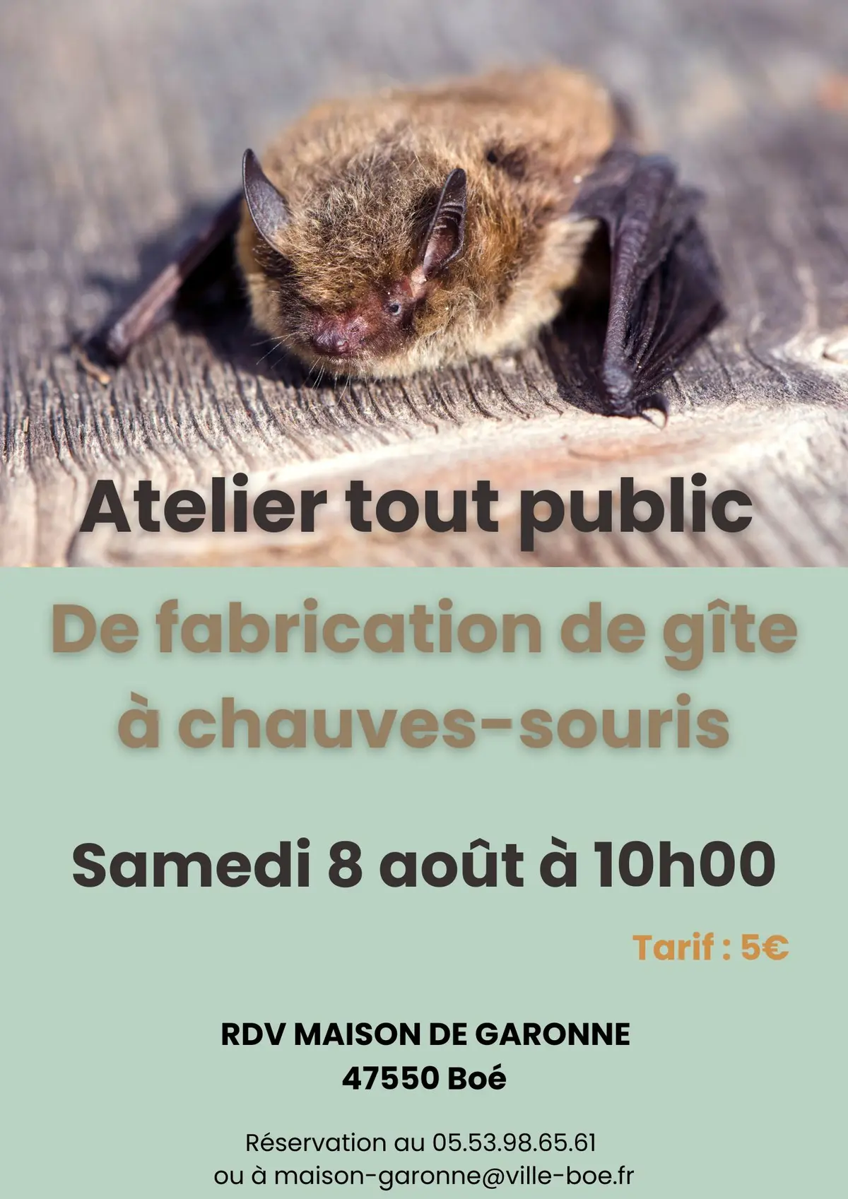 Atelier de fabrication d'abri à chauves-souris