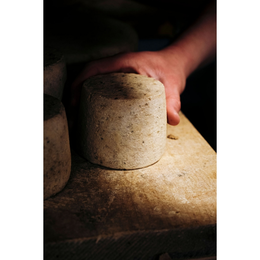 Atelier de fabrication Tommes de Brebis ou Chèvre