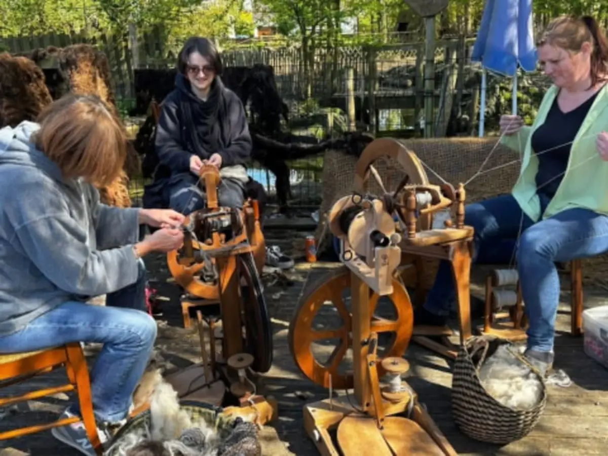 Atelier de Filage de Laine à Guînes (62)