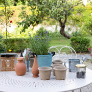 Atelier de jardinage - Potager de balcon