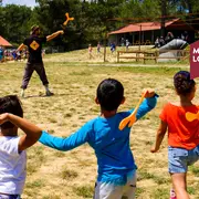 Atelier De L'Exposition : Boomerang Au Salagou, Atelier De Fabrication Et Initiation Au Lancer