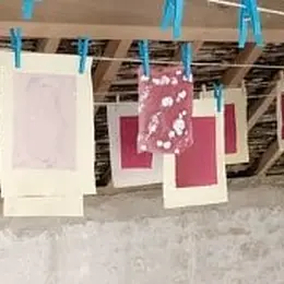 Atelier de Pratique Artistique Papiers colorés
