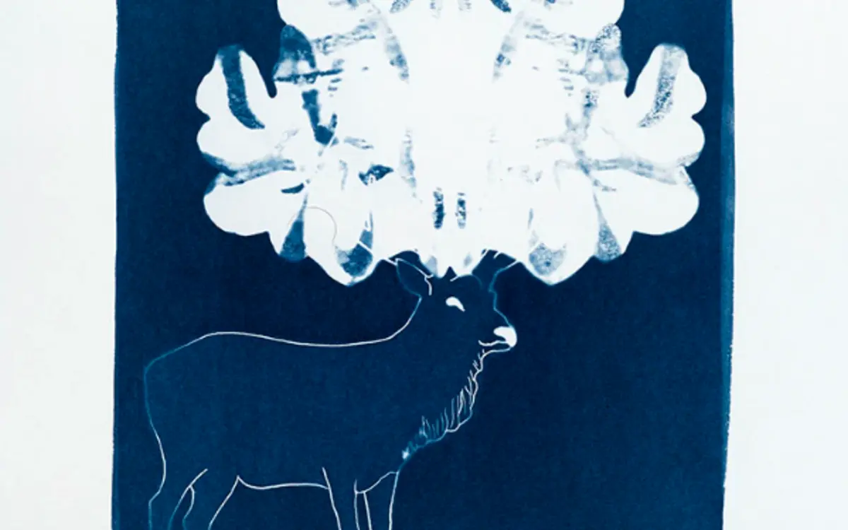 Atelier de pratique en famille – Du portrait au cyanotype avec Elisabeth Schneider