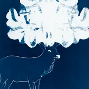 Atelier de pratique en famille – Du portrait au cyanotype avec Elisabeth Schneider