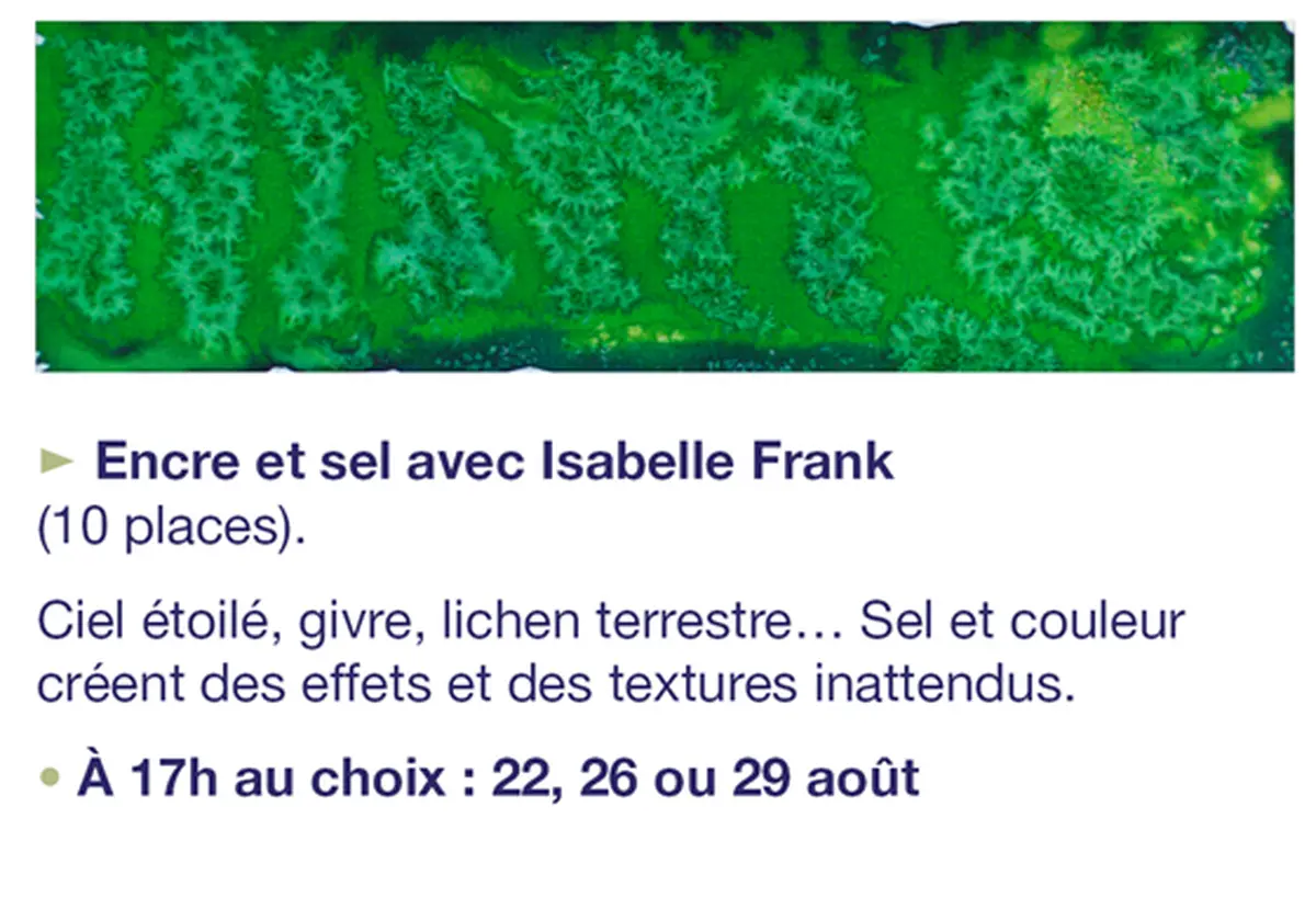 Atelier de pratiques artistiques  : Encre et sel