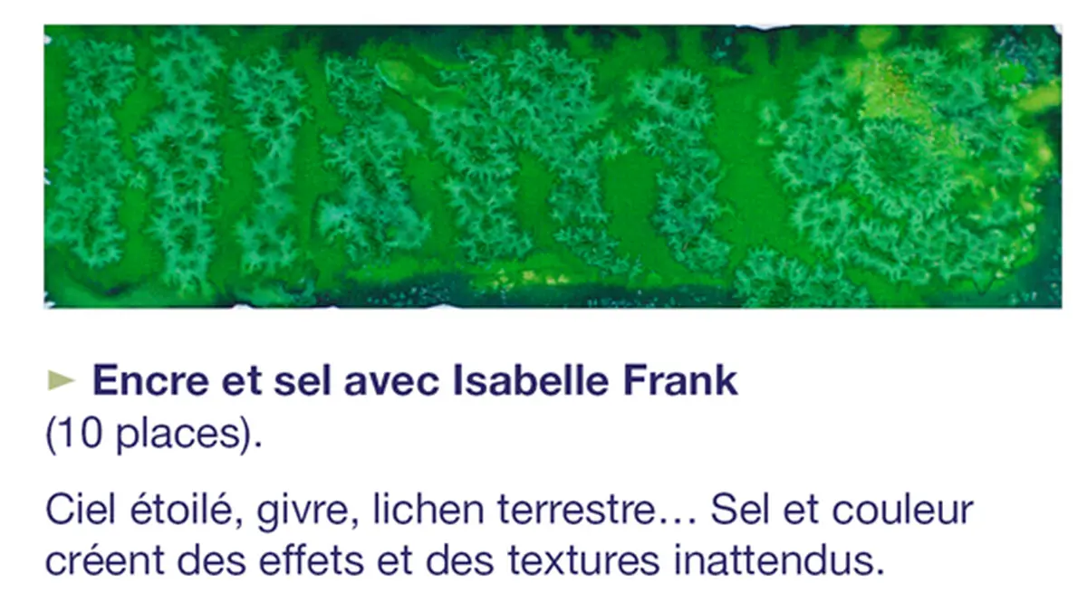 Atelier de pratiques artistiques  : Encre et sel