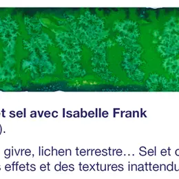 Atelier de pratiques artistiques  : Encre et sel