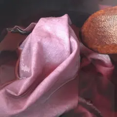Atelier de teinture végétale sur tissu près de Rennes (35)