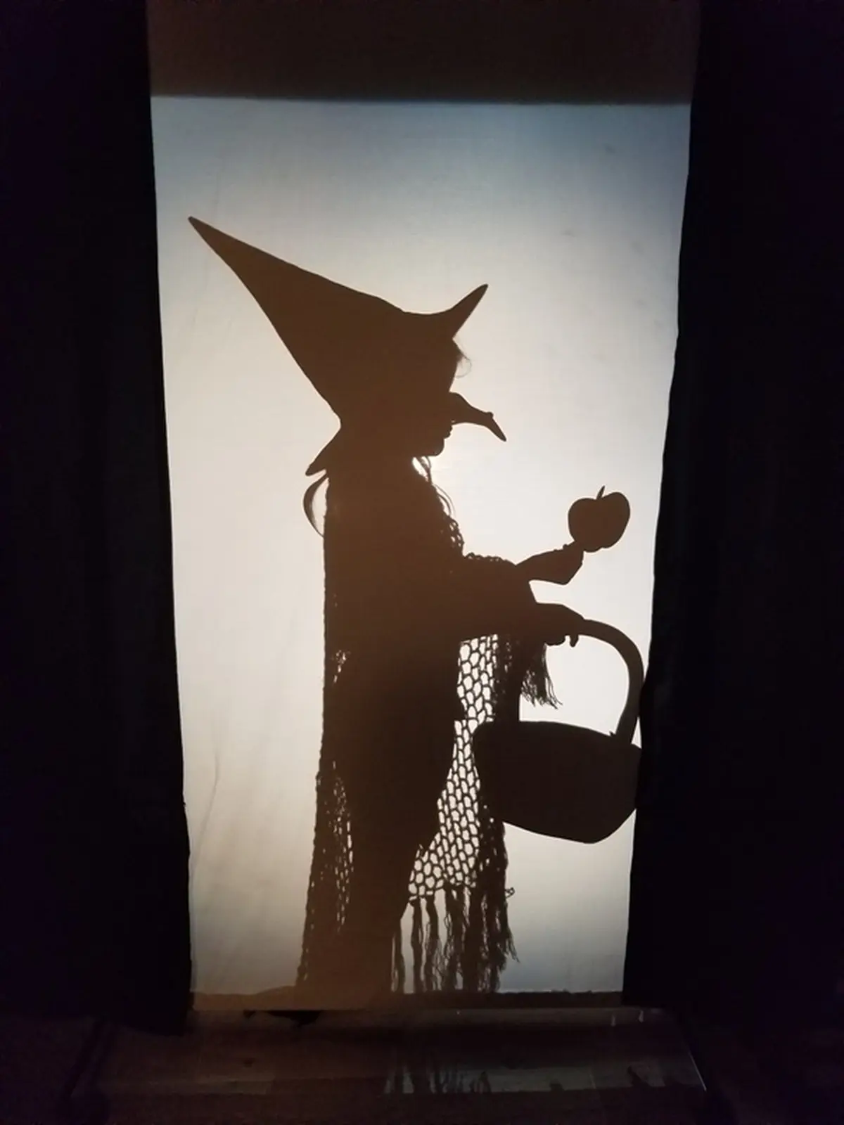 Atelier De Théâtre D'Ombres (4/10 Ans)