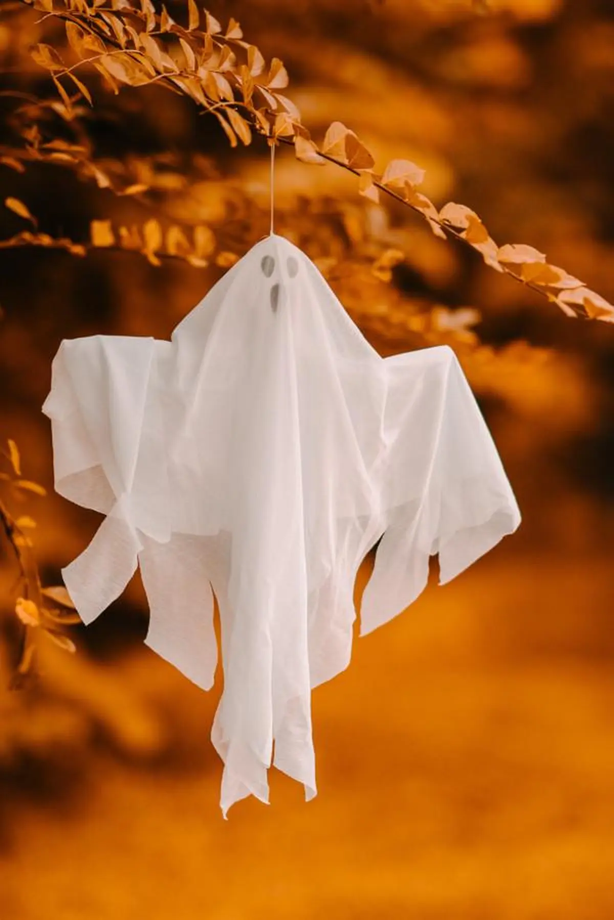 Atelier : « Déco Halloween »