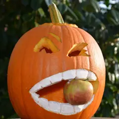 Atelier décoration citrouille Halloween Ferme d'Octeville (76)