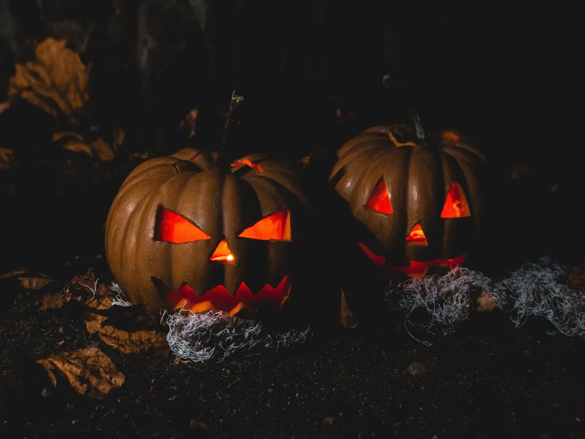 Atelier : décoration de citrouilles