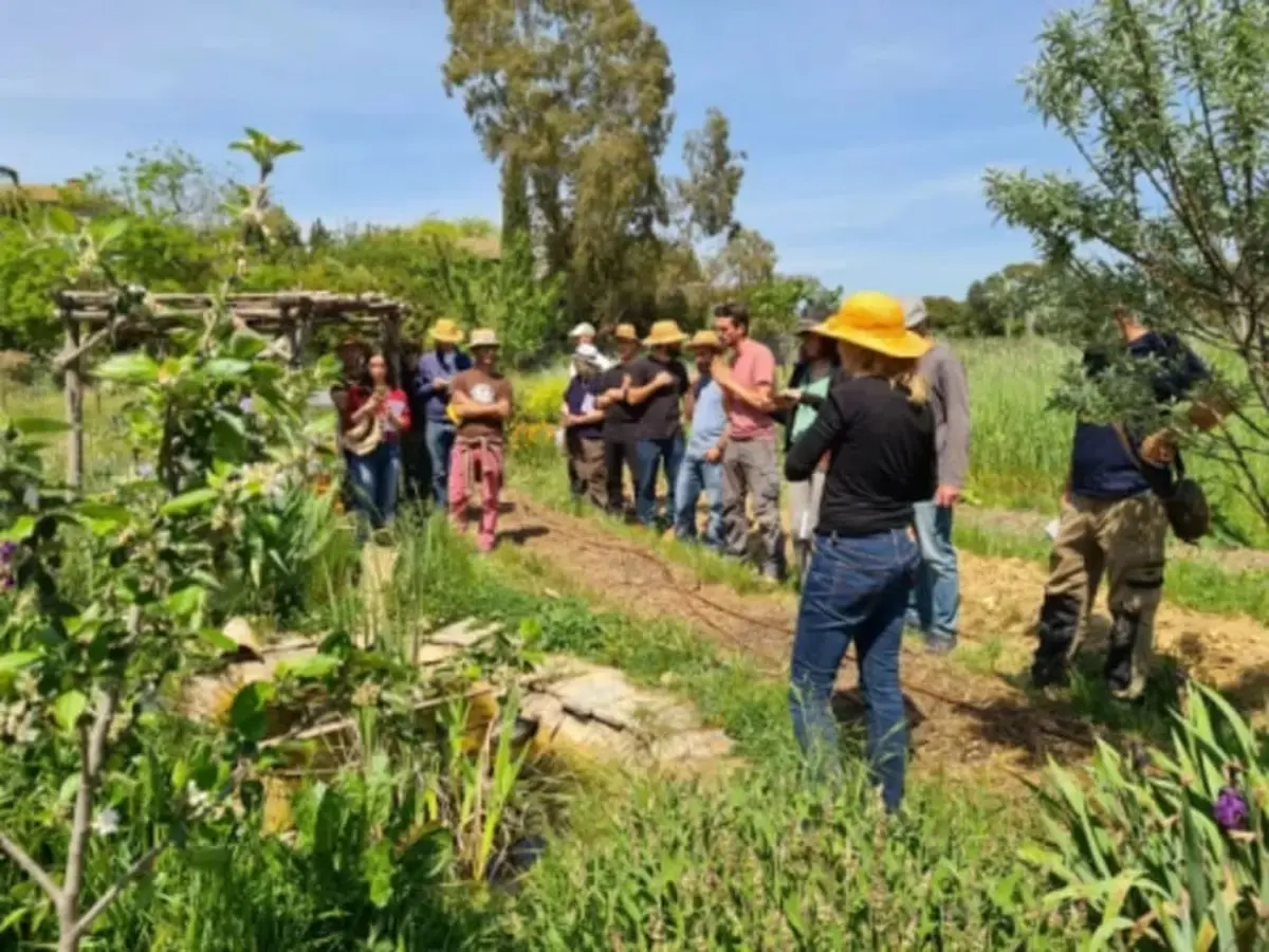 Atelier découverte de l’agriculture urbaine à Montpellier (34)