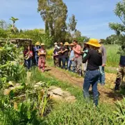 Atelier découverte de l’agriculture urbaine à Montpellier (34)