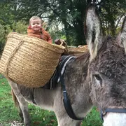 Atelier découverte de l'âne et fabrication de savon au lait d'ânesse