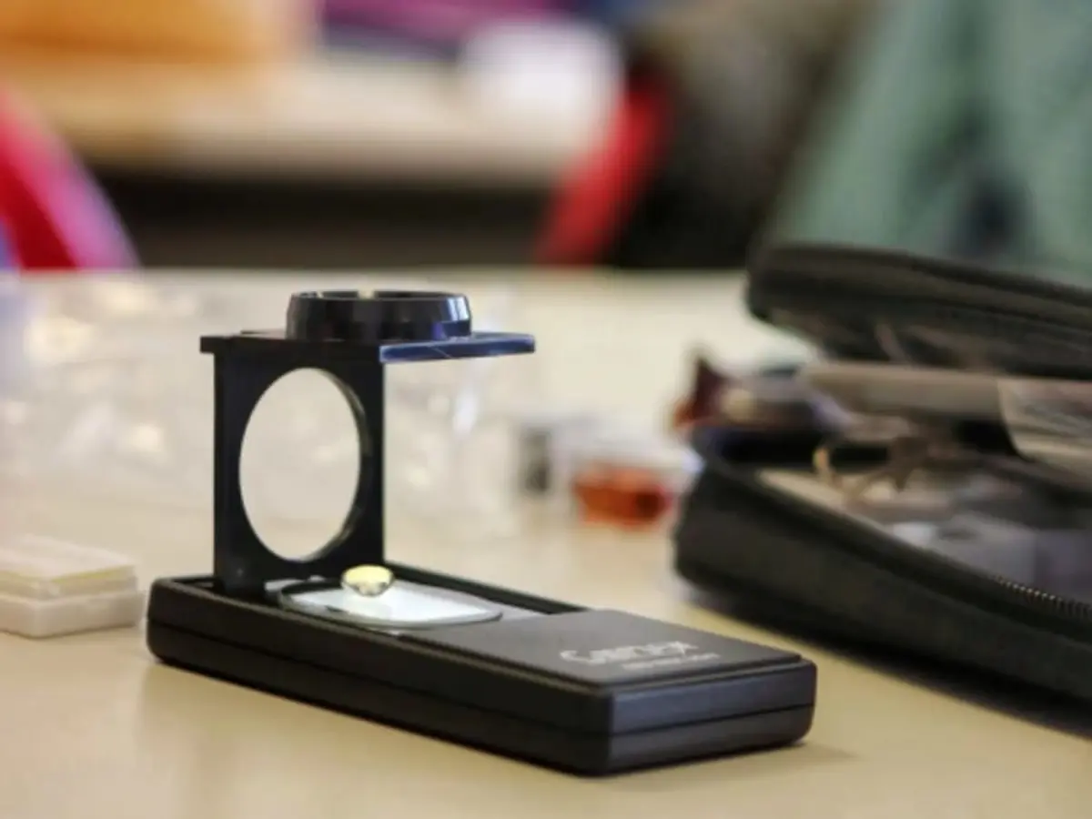 Atelier découverte de la Gemmologie à Nantes (44)