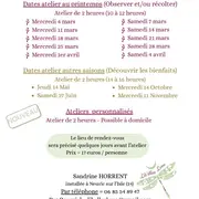 Atelier : découverte de la gemmothérapie