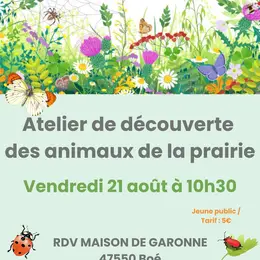 Atelier découverte de la microfaune de la prairie