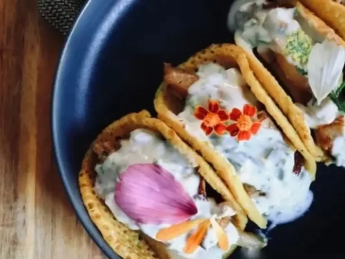 Atelier découverte des protéines végétales à Toulouse (31)