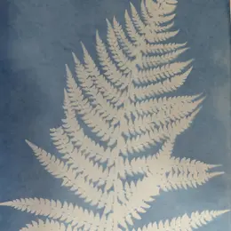 [Atelier] Découverte du cyanotype