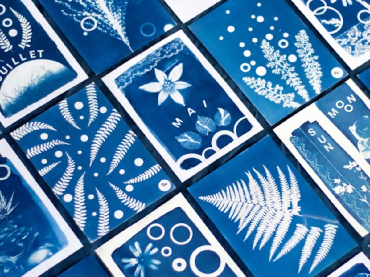 Atelier découverte du cyanotype à Nantes (44)