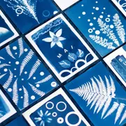Atelier découverte du cyanotype à Nantes (44)