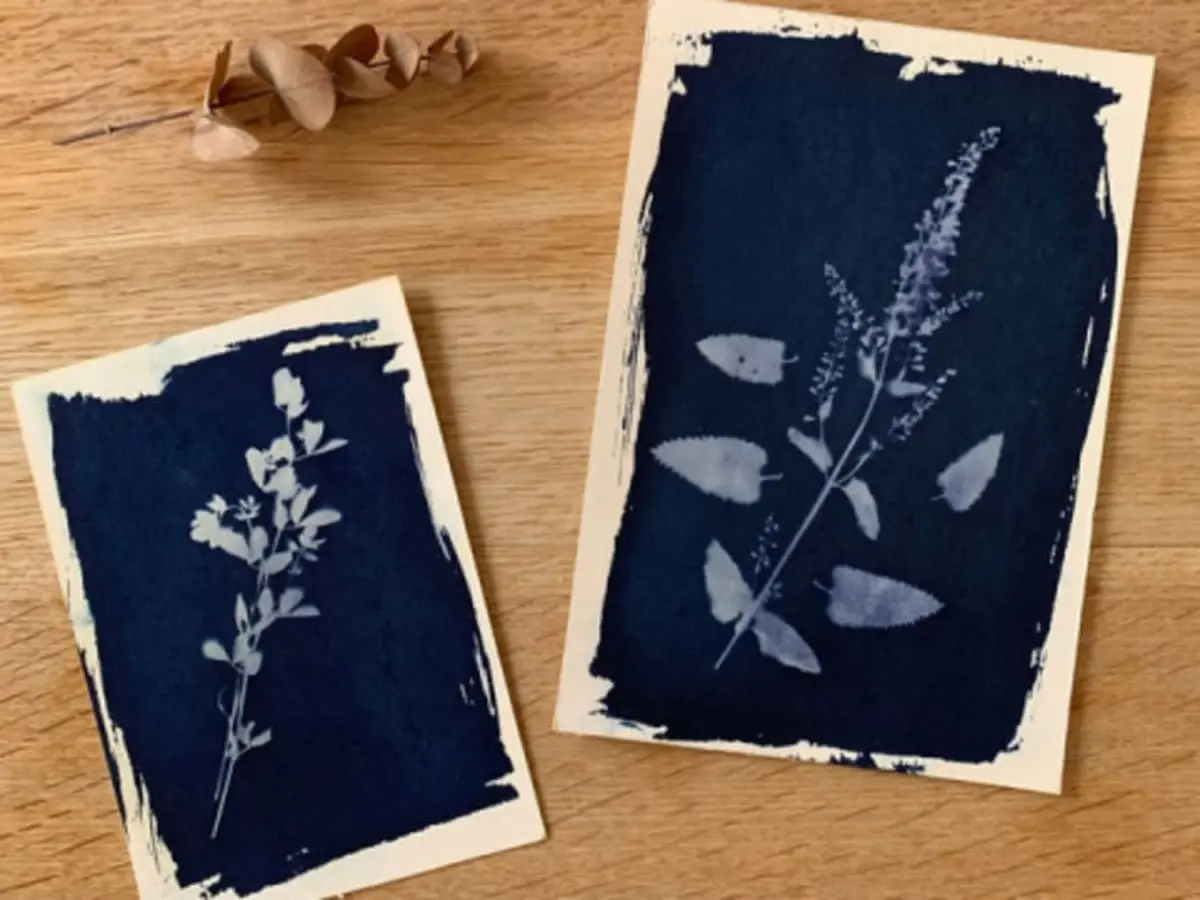Atelier découverte du Cyanotype à Toulouse (31)