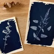 Atelier découverte du Cyanotype à Toulouse (31)