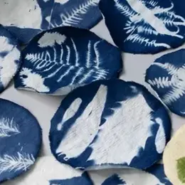 Atelier découverte du cyanotype avec la plasticienne Apolline Pliez