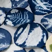 Atelier découverte du cyanotype avec la plasticienne Apolline Pliez