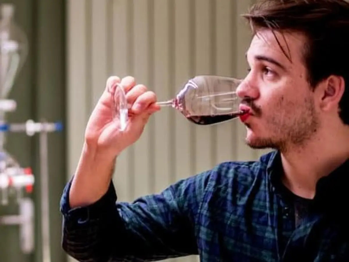 Atelier découverte du vignoble bordelais en 3 vins à Bordeaux