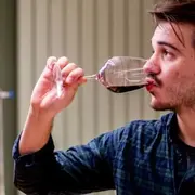 Atelier découverte du vignoble bordelais en 3 vins à Bordeaux