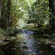 Atelier découverte La petite faune aquatique de la Bave