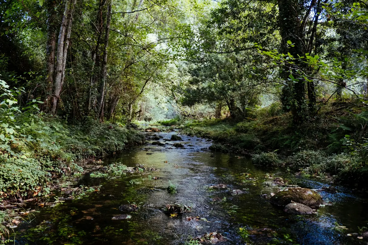 Atelier découverte La petite faune aquatique de la Bave
