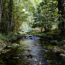 Atelier découverte La petite faune aquatique de la Bave