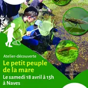 Atelier-découverte : Le Petit Peuple de la Mare