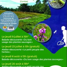 Atelier découverte Le petit peuple des herbes